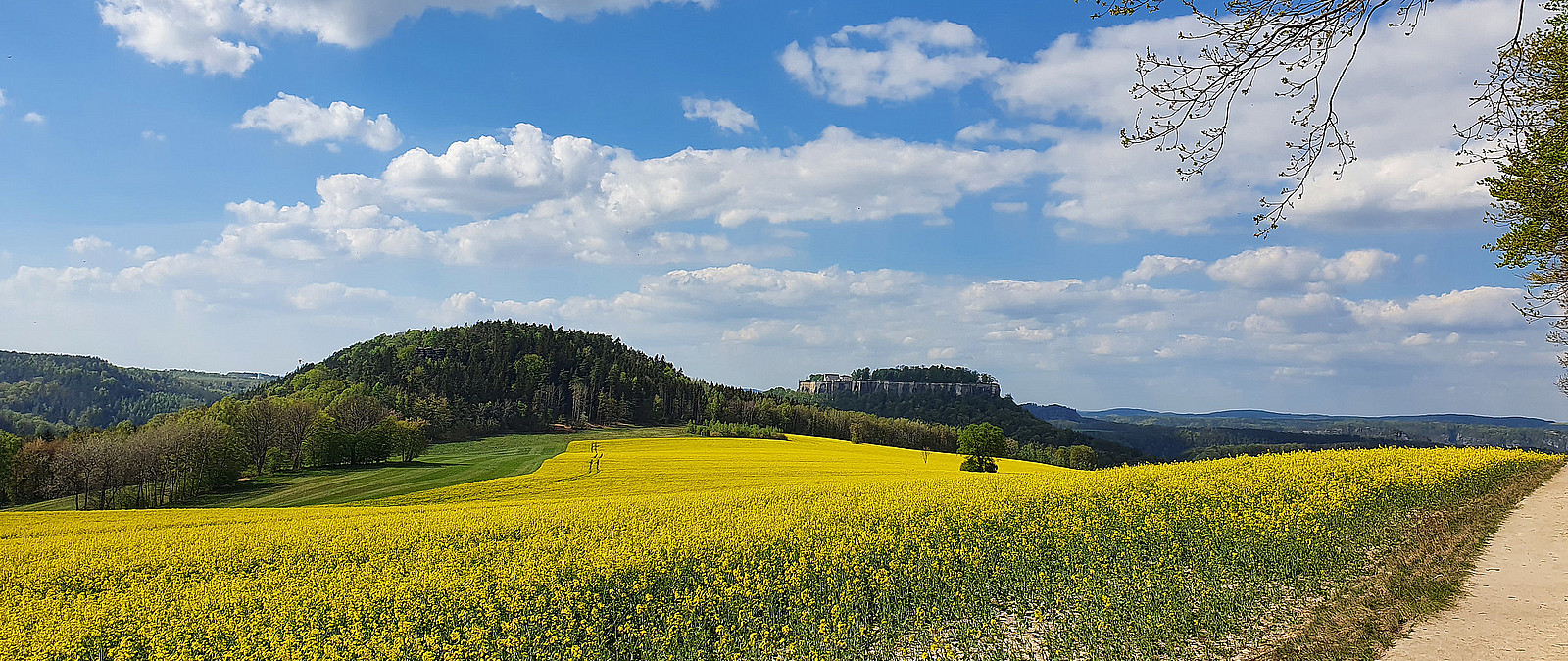 Tagungen & Kongresse Sächsische Schweiz