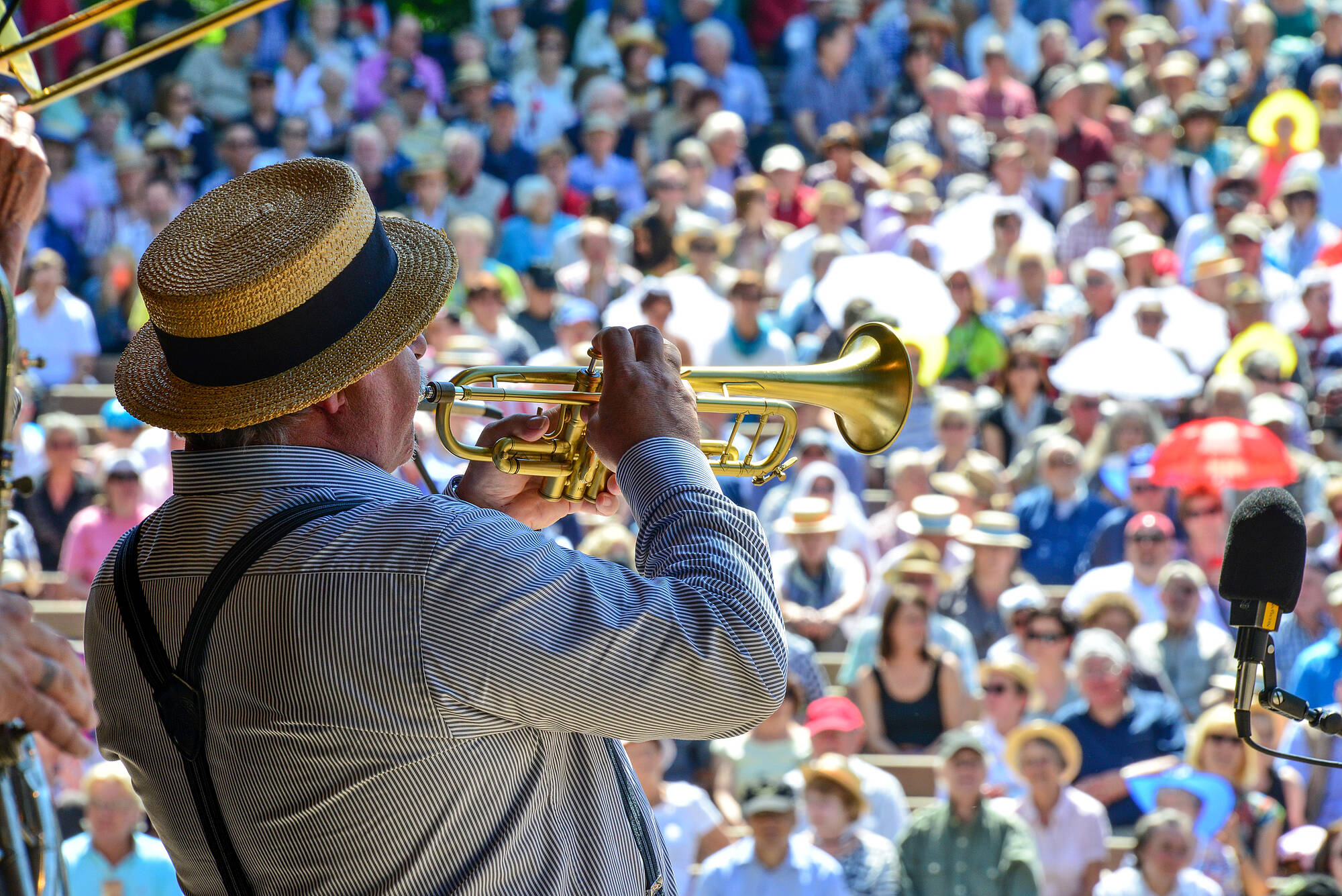 dixieland riverboat shuffle dresden