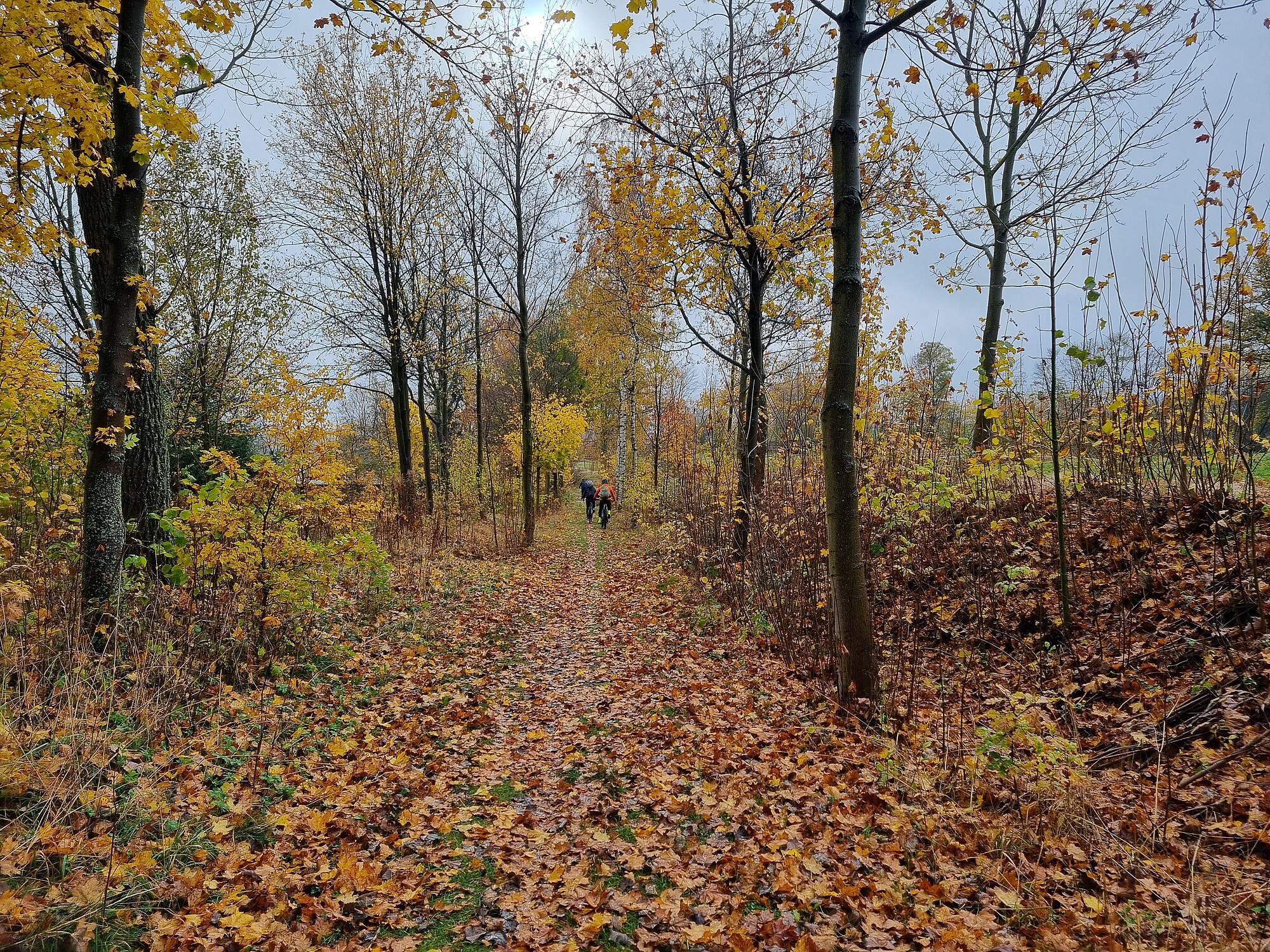 Gravel- & Ebike Touren Erzgebirge